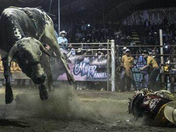 Por 30 mil pesos, niños montan toros en los jaripeos