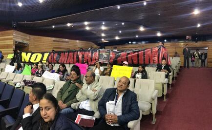 Protestan contra iniciativa que declara las peleas de gallos como patrimonio en Hidalgo