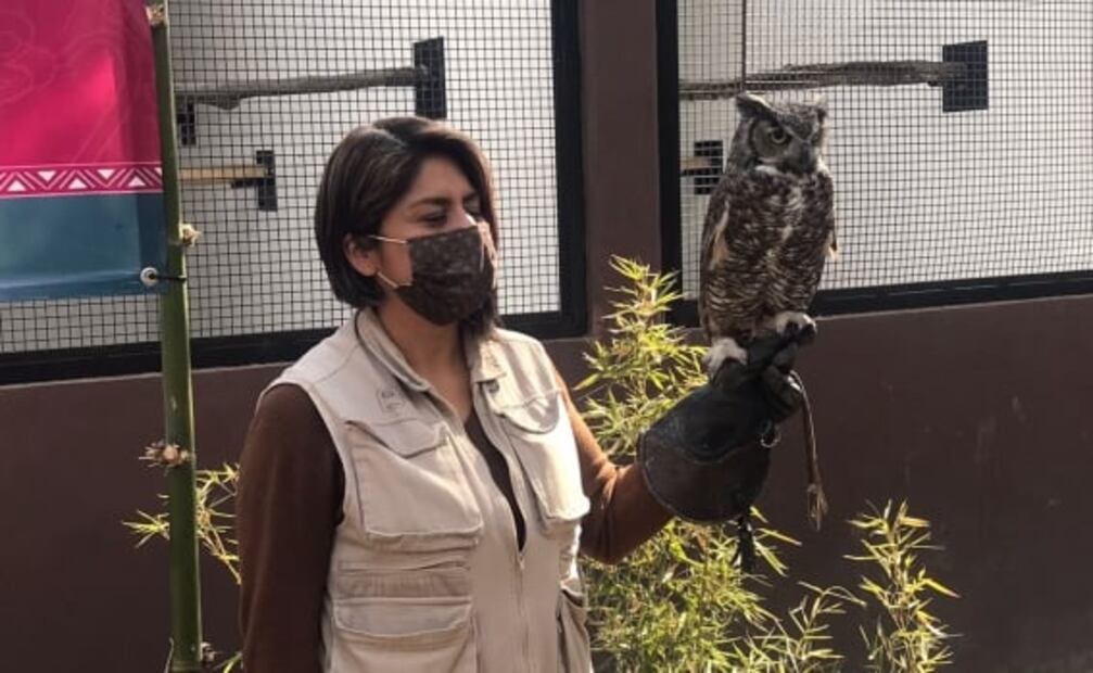 En el Zoológico de San Juan de Aragón se invirtieron más de 26 mdp para mejoras: Sheinbaum