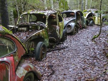El tenebroso bosque con cientos de Vochos abandonados a la mitad de la nada
