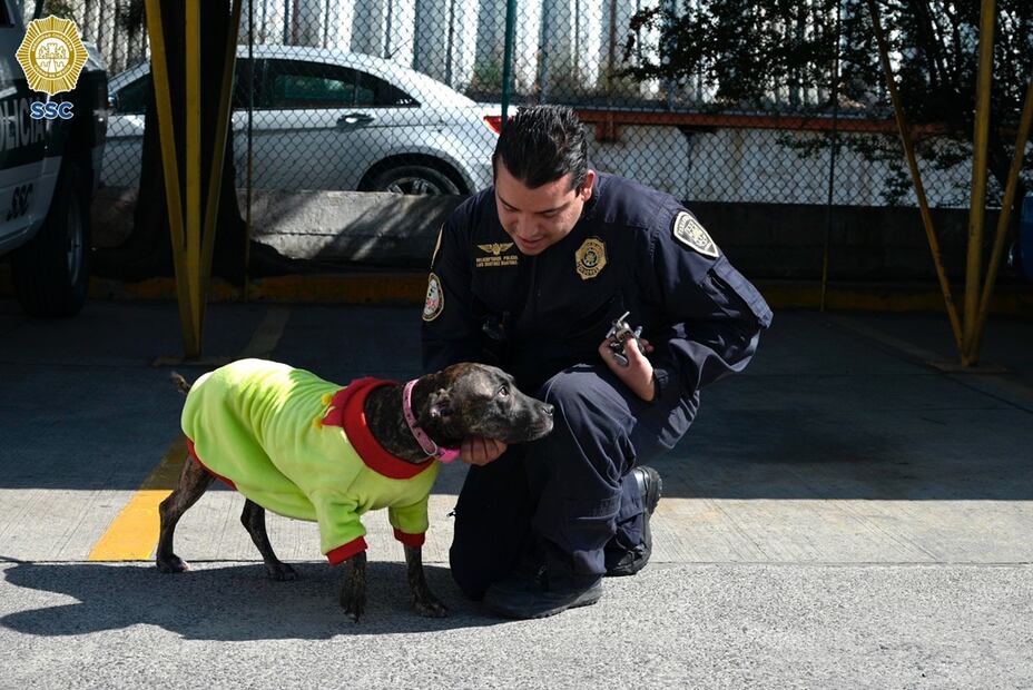 Saludo a todos pese al dolor se sus lesiones. FOTO: Especial/ EL UNIVERSAL/
