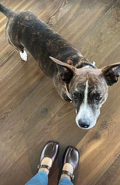 Cuánto cuestan los lujosos zapatos de pezuñas de Issabela Camil