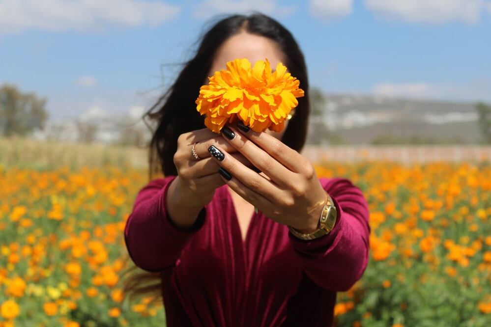 En Puebla visita los campos de flores de cempasúchil, conoce su proceso de cultivo y tómate muchas fotos. Foto: Cristina Hernández. Unsplash