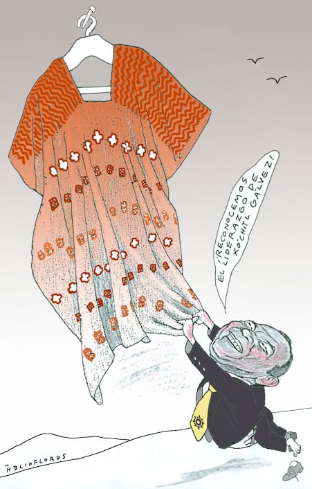 Cartón de HELIOFLORES