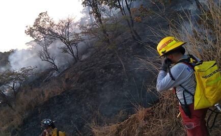 Registran incendios forestales en 7 municipios de Michoacán 