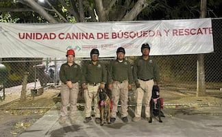 Reanudan búsqueda de niña indígena desaparecida en Tila; binomios caninos se suman al operativo