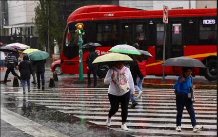 Saldo de la lluvia del lunes 16 de junio; encharcamientos, caída de árboles y deslizamientos en CDMX