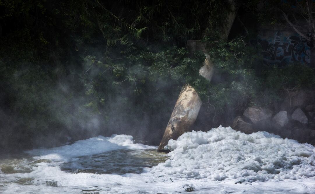 Por ley la Cofece debe estudiar los potenciales impactos negativos que puede tener una concentración antes de que se lleve a cabo. Foto: Archivo/ Cuartoscuro