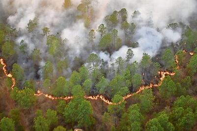 SEMARNAT equipara gasto en congresos con  control de incendios forestales