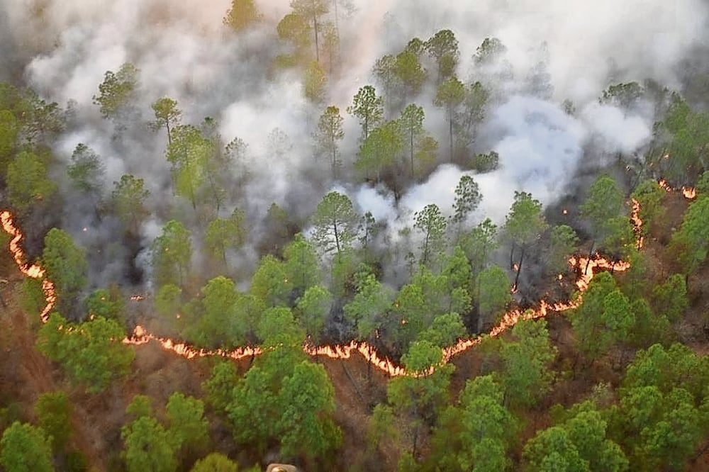 Entre septiembre de 2022 y junio de este año se registraron 5 mil 946 incendios forestales en México, con una superficie dañada de 591 mil 53 hectáreas. Foto: Archivo / El Universal