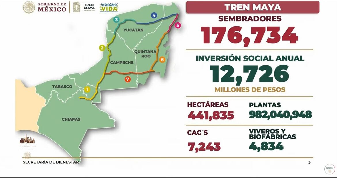 Avances del programa Sembrando Vida