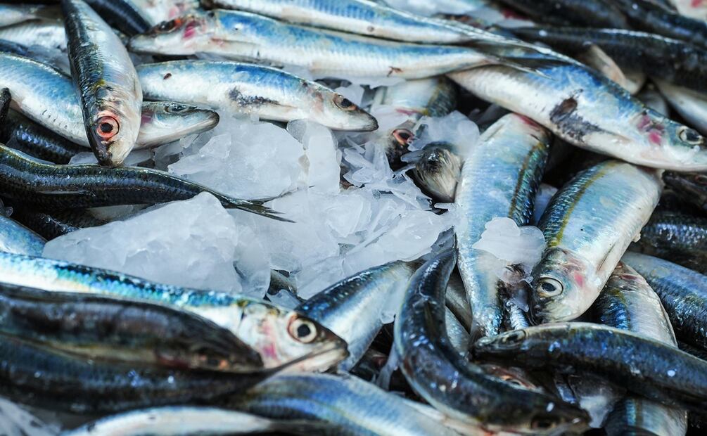 El Miércoles de Ceniza y los viernes de Cuaresma, los fieles se abstienen de consumir carnes rojas, sustituyéndolas por pescado, mariscos o pollo. Foto: Pexels