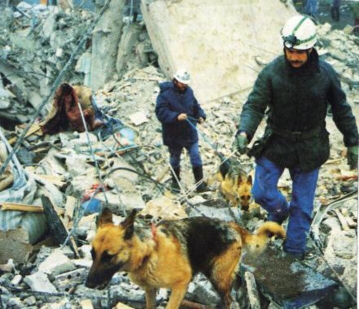 Antes de Frida: los héroes caninos del 85