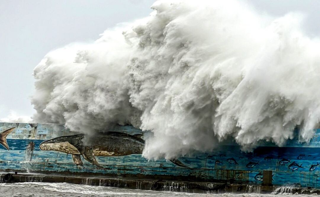 Feroces vientos y lluvias torrenciales azotaron Taiwán el 31 de octubre a medida que se acercaba el supertifón Kong-rey, lo que obligó a miles de personas a huir de una de las tormentas más poderosas que ha amenazado a la isla en años. Foto: AFP
