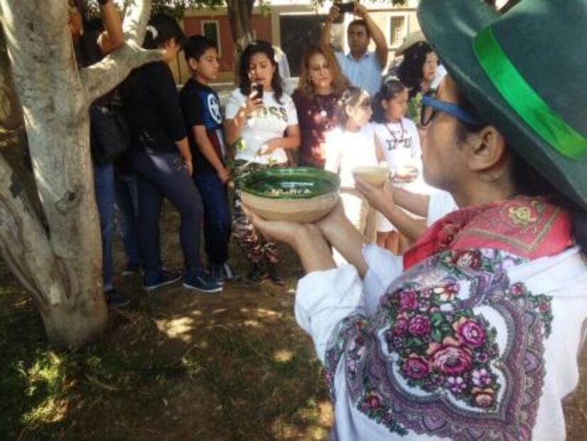 Se casan con árboles para concientizar sobre el medio ambiente