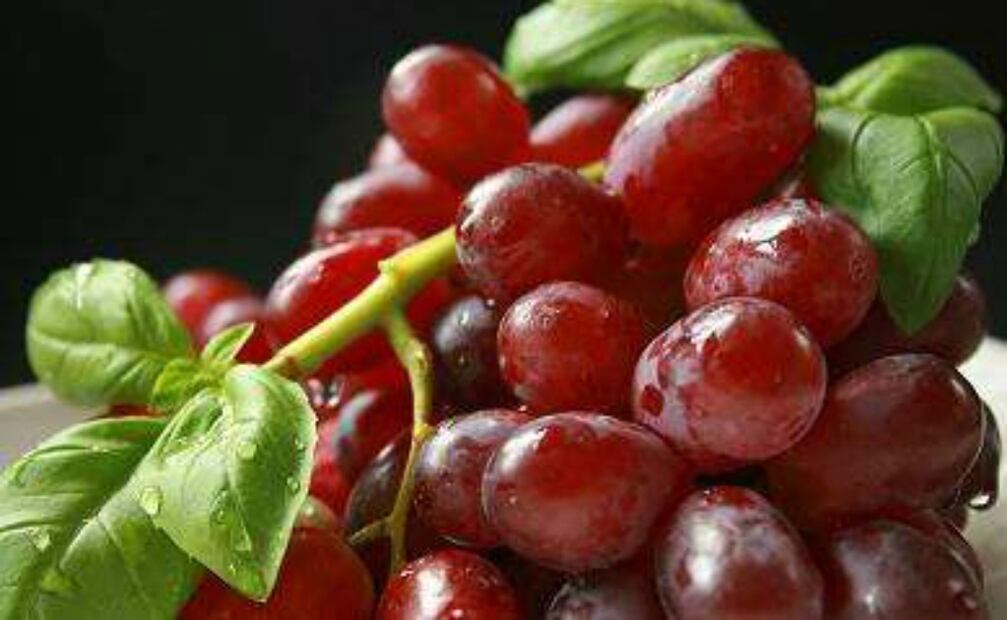 Imagen: Archivo El Universal 