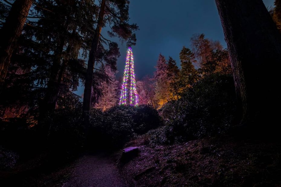 Foto: National Trust