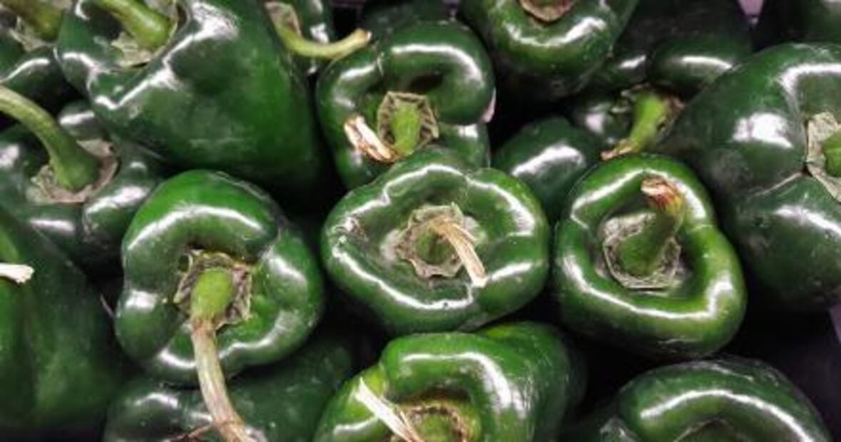 ¿Cuál es el nombre de los chiles frescos cuando se secan?