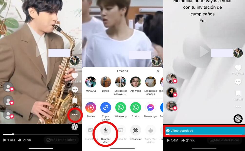 Descargar videos de TikTok. Imagen: captura de pantalla