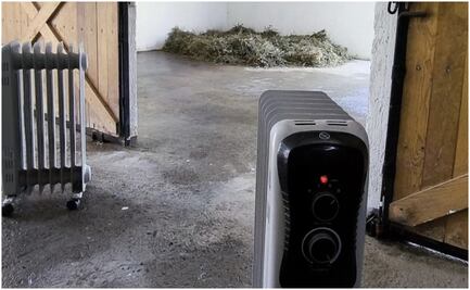 Ante bajas temperaturas, cuidan a animales del zoológico de León, Guanajuato; les ponen fuentes de calor