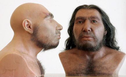 Humanos y neandertales cruzaron genes hace unos 45 mil años
