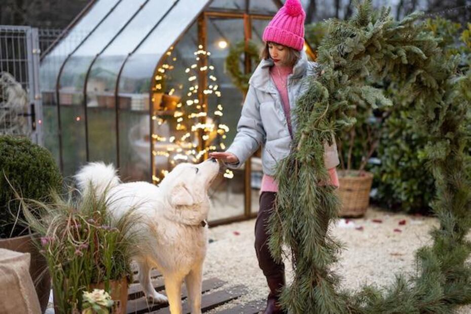 Cuida a tus mascotas de las plantas tóxicas típicas de navidad. Fuente: Freepik.