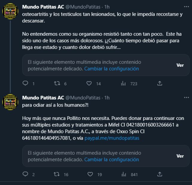 Foto: Captura (Twitter @MundoPatitas)