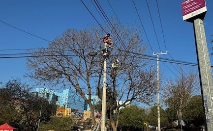 Rescatan a sujeto tras subir a un poste de 6 metros en Coyoacán; caminaba desnudo por la calle