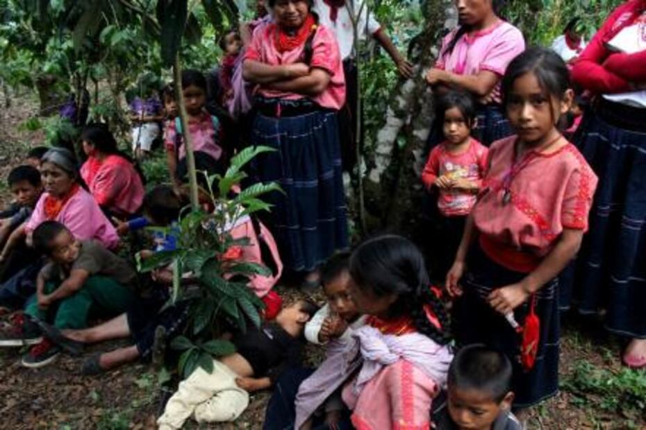 Tzotziles, nuevos desplazados en Chiapas