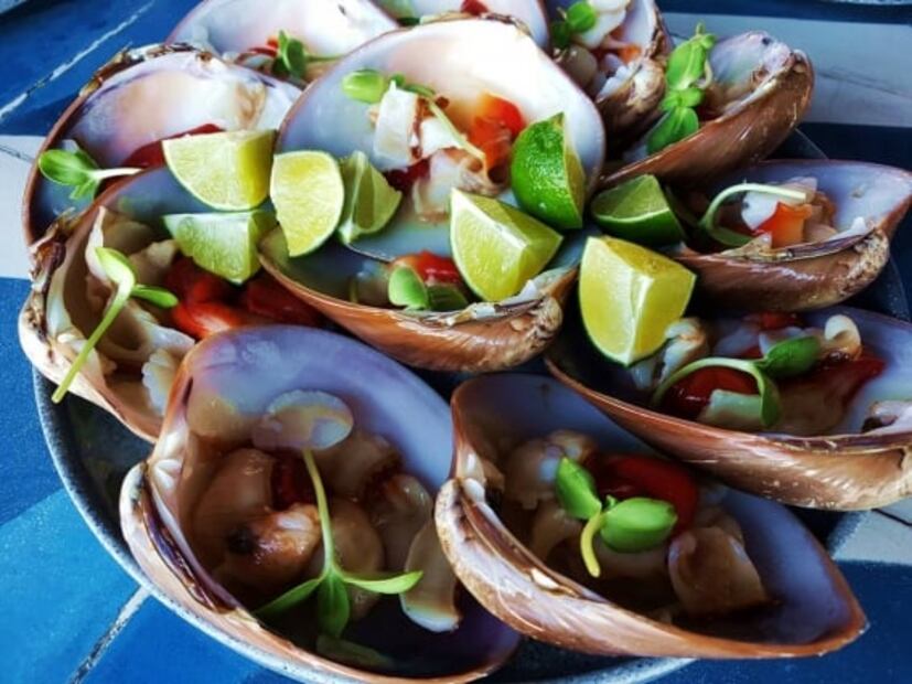 Actividades y maravillas naturales para amar La Paz, en Baja California Sur