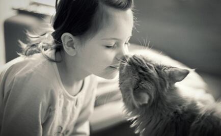 Los gatos aman relacionarse con los humanos