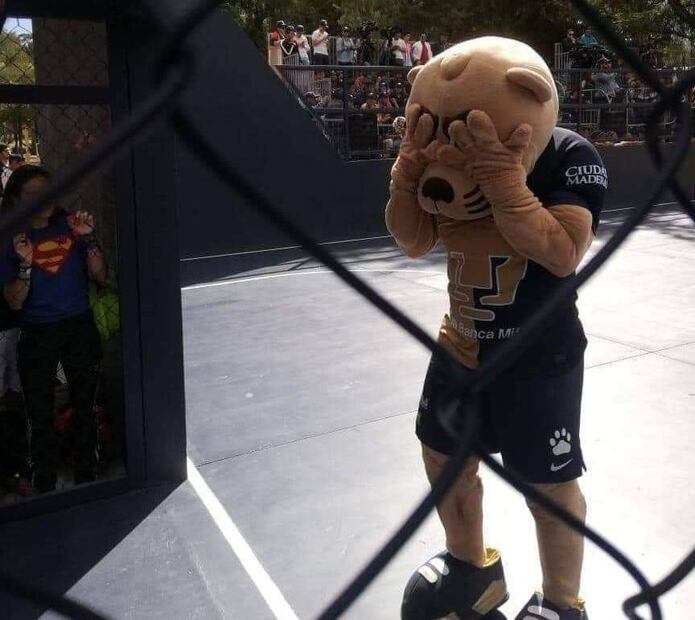 Memes Pumas