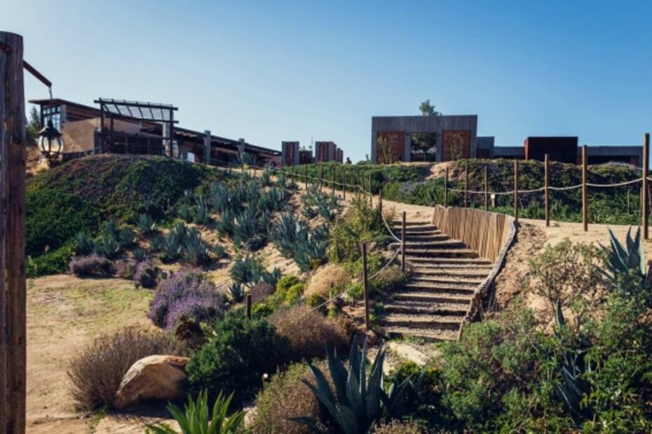 De Tijuana a Valle de Guadalupe: comer, beber y pasear