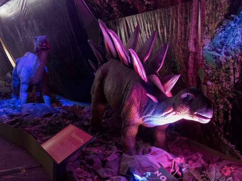 No te pierdas la expo de dinosaurios en el Parque Bicentenario