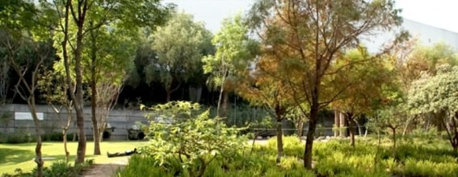 Jardines que debes visitar en la CDMX