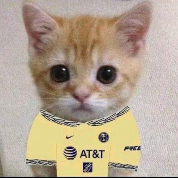América Memes