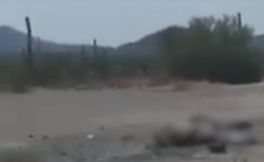 Foto: captura de pantalla