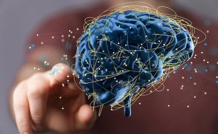 Hito revolucionario sobre el cerebro: crean mapa de las mitocondrias