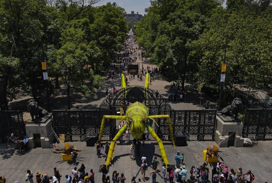 Foto: Facebook 'Animalística: Festival del Bosque de Chapultepec'