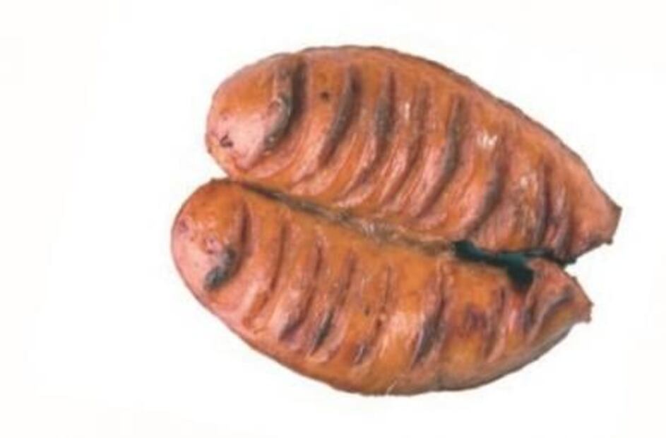 ¿Qué tipos de salchichas conoces? 