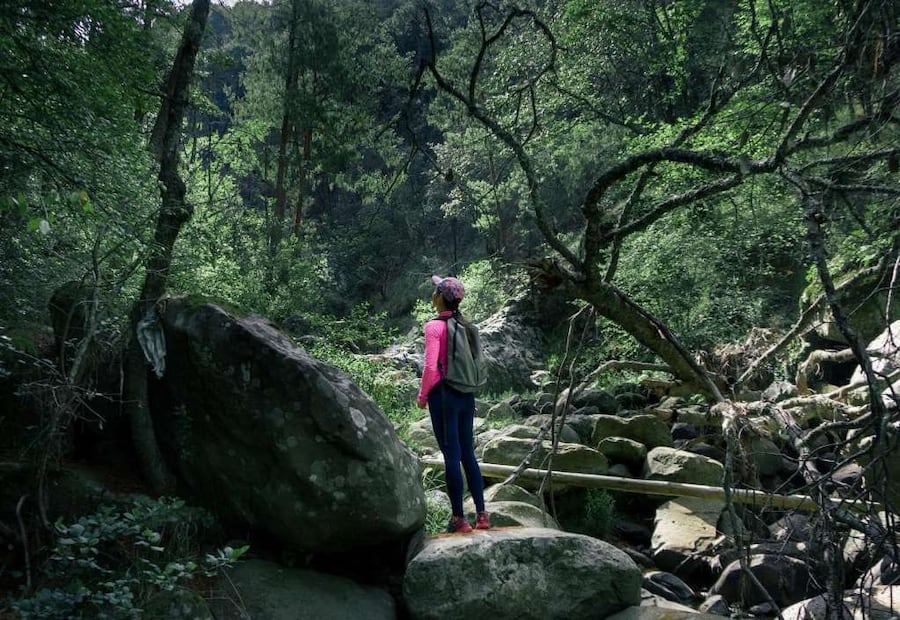 Foto: Dirección de Turismo de Huasca de Ocampo