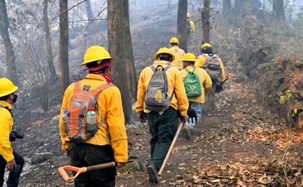 Incendio en Tepoztlán controlado al 50 por ciento, señalan autoridades