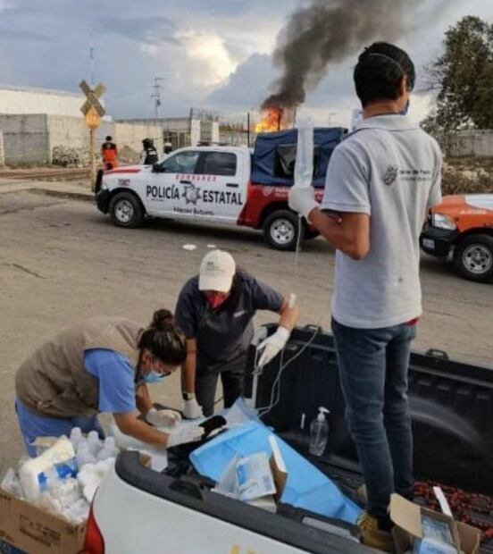 "Esponjoso” uno de los lomitos sobrevivientes de la explosión de Xochimehuacán, Puebla