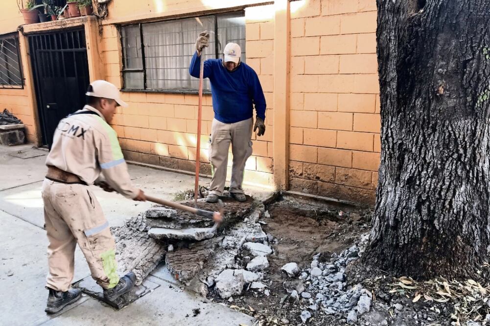 El plan inició en el Conjunto Urbano Benito Juárez, en la colonia Albert, que tiene 14 edificios, y donde realizaron servicios de jardinería. (ESPECIAL)