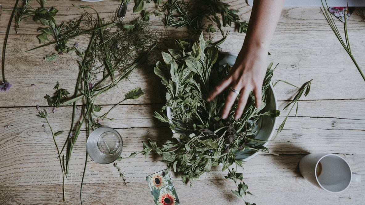 Hierbas. Fuente: Unsplash