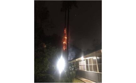 Lluvias provocan caída de un rayo e incendio de palmeras, en Querétaro