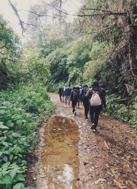 Visita la increíble cama de nubes en Oaxaca