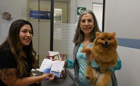 Benito Juárez fortalece atención veterinaria; ofrecen diversos servicios para mascotas a bajo costo