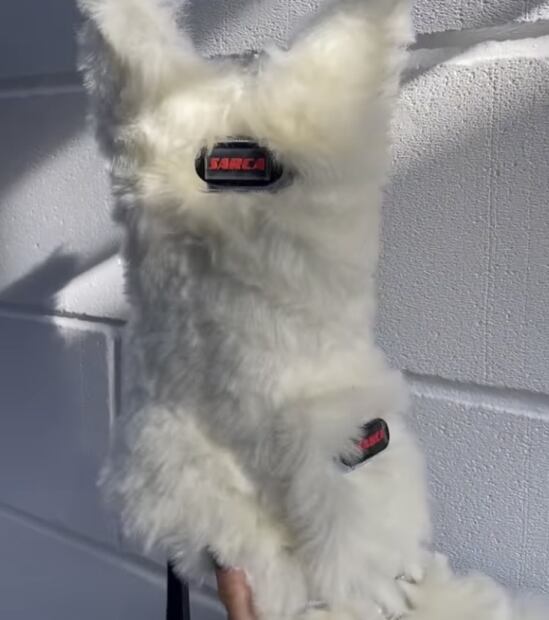 Las botas de peluche de Dua Lipa son lo más trendy de la temporada