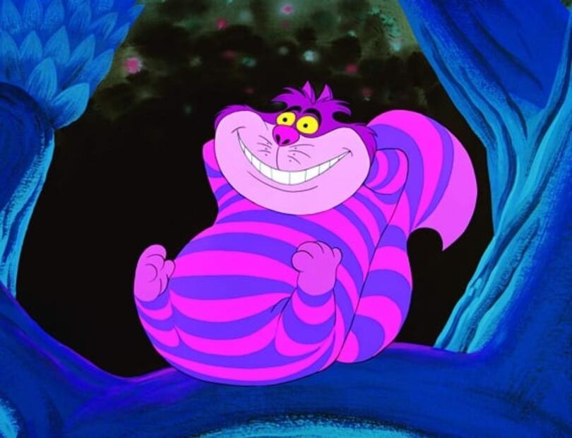 En este Día internacional del gato, maúllan en televisión y cine 